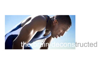 the brain deconstructed
 