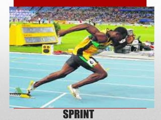 SPRINT
 
