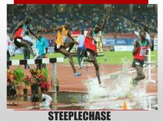 STEEPLECHASE
 