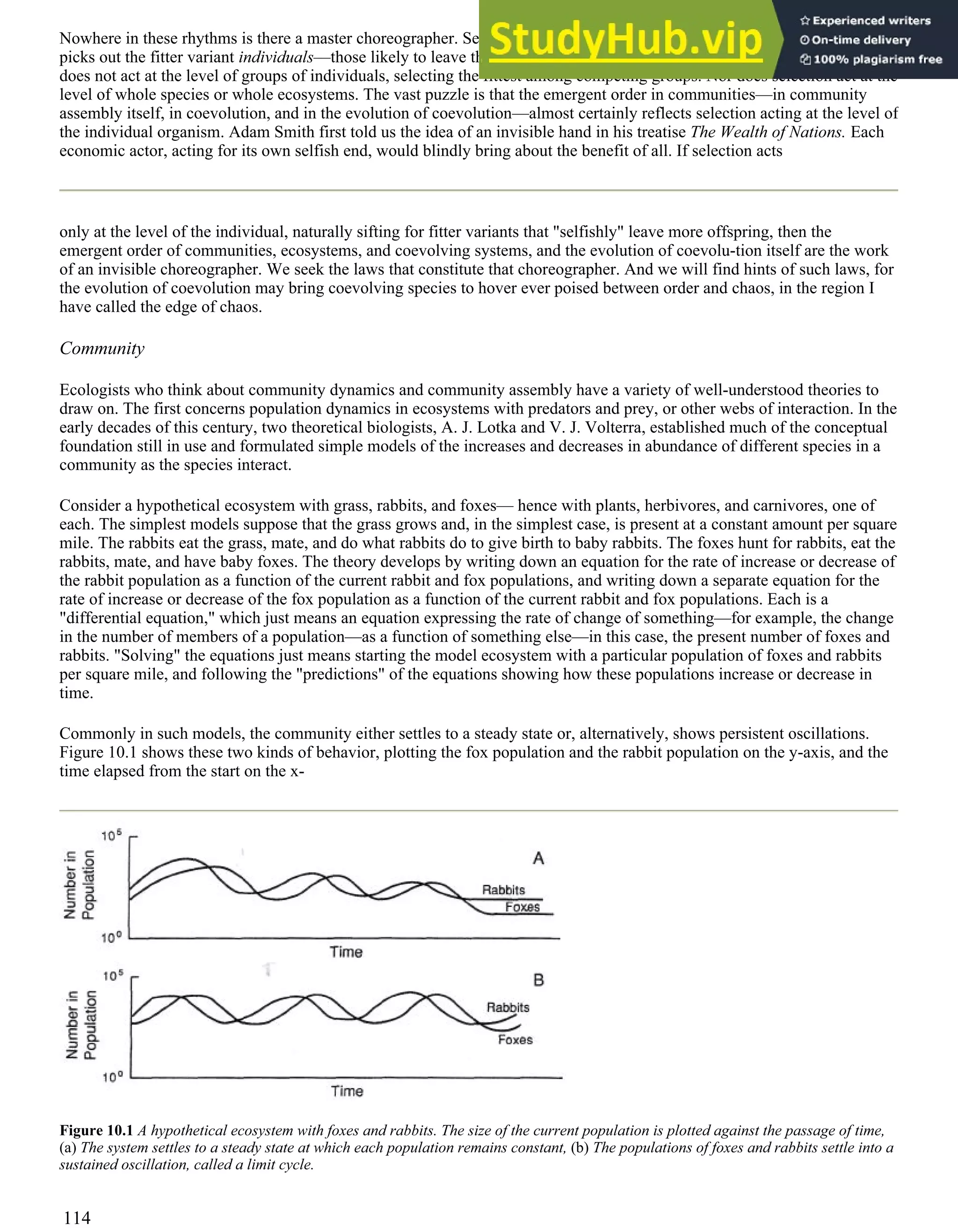 Nowhere in these rhythms is there a master choreographer. Selection acts at the level of the individual organism. Selection
picks out the fitter variant individuals—those likely to leave the most offspring. Selection, biologists think, almost certainly
does not act at the level of groups of individuals, selecting the fittest among competing groups. Nor does selection act at the
level of whole species or whole ecosystems. The vast puzzle is that the emergent order in communities—in community
assembly itself, in coevolution, and in the evolution of coevolution—almost certainly reflects selection acting at the level of
the individual organism. Adam Smith first told us the idea of an invisible hand in his treatise The Wealth of Nations. Each
economic actor, acting for its own selfish end, would blindly bring about the benefit of all. If selection acts
only at the level of the individual, naturally sifting for fitter variants that "selfishly" leave more offspring, then the
emergent order of communities, ecosystems, and coevolving systems, and the evolution of coevolu-tion itself are the work
of an invisible choreographer. We seek the laws that constitute that choreographer. And we will find hints of such laws, for
the evolution of coevolution may bring coevolving species to hover ever poised between order and chaos, in the region I
have called the edge of chaos.
Community
Ecologists who think about community dynamics and community assembly have a variety of well-understood theories to
draw on. The first concerns population dynamics in ecosystems with predators and prey, or other webs of interaction. In the
early decades of this century, two theoretical biologists, A. J. Lotka and V. J. Volterra, established much of the conceptual
foundation still in use and formulated simple models of the increases and decreases in abundance of different species in a
community as the species interact.
Consider a hypothetical ecosystem with grass, rabbits, and foxes— hence with plants, herbivores, and carnivores, one of
each. The simplest models suppose that the grass grows and, in the simplest case, is present at a constant amount per square
mile. The rabbits eat the grass, mate, and do what rabbits do to give birth to baby rabbits. The foxes hunt for rabbits, eat the
rabbits, mate, and have baby foxes. The theory develops by writing down an equation for the rate of increase or decrease of
the rabbit population as a function of the current rabbit and fox populations, and writing down a separate equation for the
rate of increase or decrease of the fox population as a function of the current rabbit and fox populations. Each is a
"differential equation," which just means an equation expressing the rate of change of something—for example, the change
in the number of members of a population—as a function of something else—in this case, the present number of foxes and
rabbits. "Solving" the equations just means starting the model ecosystem with a particular population of foxes and rabbits
per square mile, and following the "predictions" of the equations showing how these populations increase or decrease in
time.
Commonly in such models, the community either settles to a steady state or, alternatively, shows persistent oscillations.
Figure 10.1 shows these two kinds of behavior, plotting the fox population and the rabbit population on the y-axis, and the
time elapsed from the start on the x-
Figure 10.1 A hypothetical ecosystem with foxes and rabbits. The size of the current population is plotted against the passage of time,
(a) The system settles to a steady state at which each population remains constant, (b) The populations of foxes and rabbits settle into a
sustained oscillation, called a limit cycle.
114
 