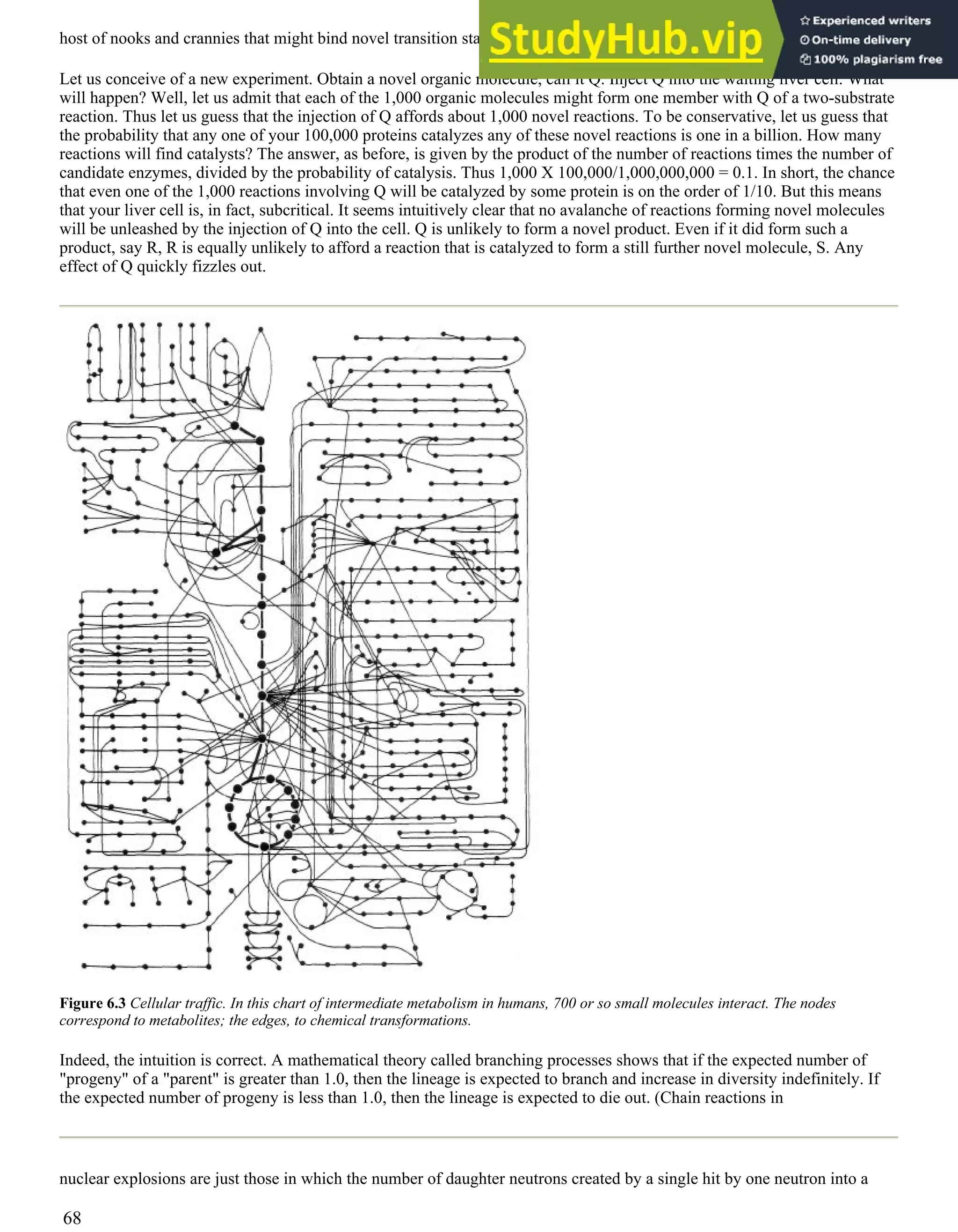 host of nooks and crannies that might bind novel transition states and catalyze novel reactions.
Let us conceive of a new experiment. Obtain a novel organic molecule, call it Q. Inject Q into the waiting liver cell. What
will happen? Well, let us admit that each of the 1,000 organic molecules might form one member with Q of a two-substrate
reaction. Thus let us guess that the injection of Q affords about 1,000 novel reactions. To be conservative, let us guess that
the probability that any one of your 100,000 proteins catalyzes any of these novel reactions is one in a billion. How many
reactions will find catalysts? The answer, as before, is given by the product of the number of reactions times the number of
candidate enzymes, divided by the probability of catalysis. Thus 1,000 X 100,000/1,000,000,000 = 0.1. In short, the chance
that even one of the 1,000 reactions involving Q will be catalyzed by some protein is on the order of 1/10. But this means
that your liver cell is, in fact, subcritical. It seems intuitively clear that no avalanche of reactions forming novel molecules
will be unleashed by the injection of Q into the cell. Q is unlikely to form a novel product. Even if it did form such a
product, say R, R is equally unlikely to afford a reaction that is catalyzed to form a still further novel molecule, S. Any
effect of Q quickly fizzles out.
Figure 6.3 Cellular traffic. In this chart of intermediate metabolism in humans, 700 or so small molecules interact. The nodes
correspond to metabolites; the edges, to chemical transformations.
Indeed, the intuition is correct. A mathematical theory called branching processes shows that if the expected number of
"progeny" of a "parent" is greater than 1.0, then the lineage is expected to branch and increase in diversity indefinitely. If
the expected number of progeny is less than 1.0, then the lineage is expected to die out. (Chain reactions in
nuclear explosions are just those in which the number of daughter neutrons created by a single hit by one neutron into a
68
 