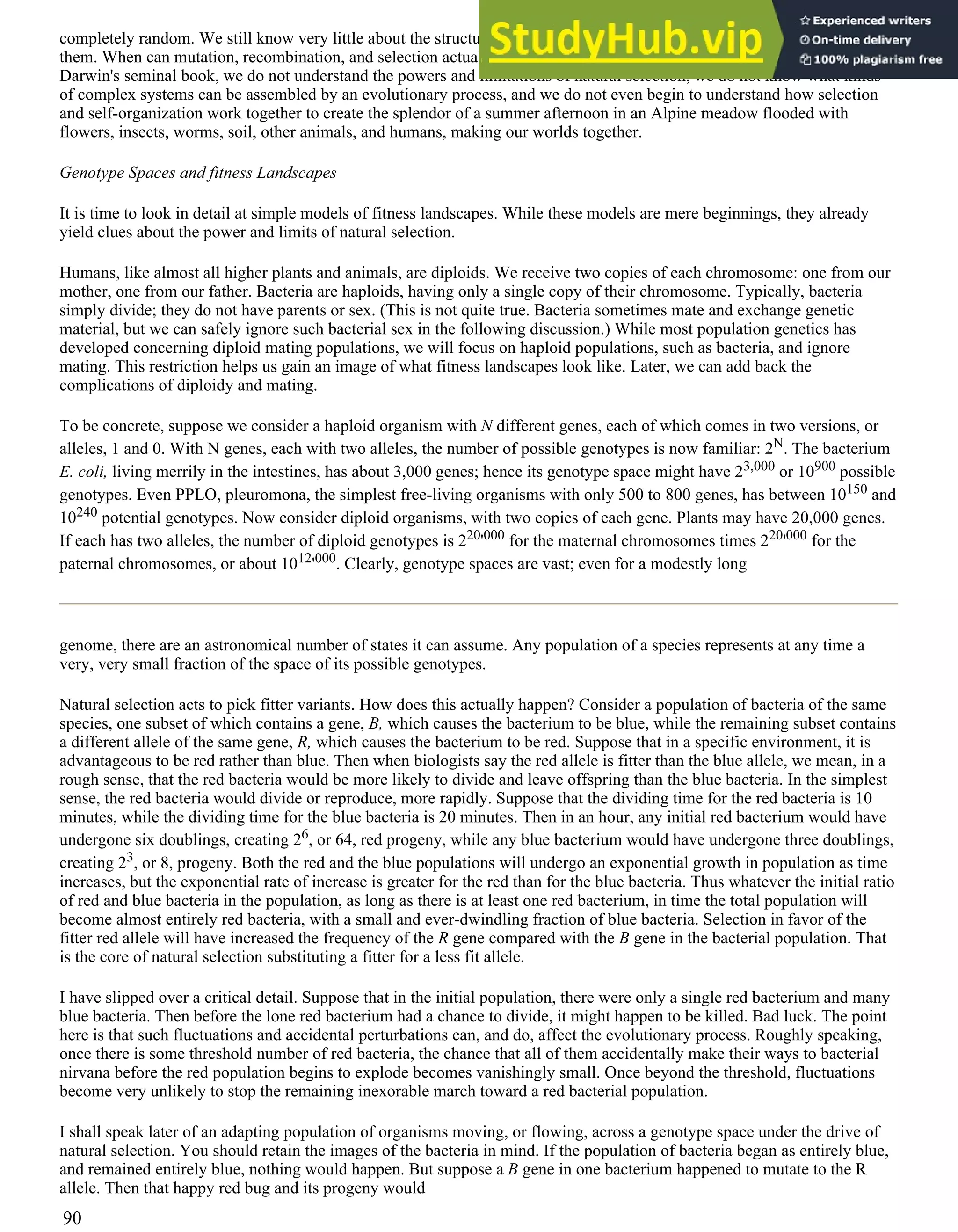 completely random. We still know very little about the structure of such landscapes, and the efficacy of adaptive search on
them. When can mutation, recombination, and selection actually climb the high peaks? In short, almost 140 years after
Darwin's seminal book, we do not understand the powers and limitations of natural selection, we do not know what kinds
of complex systems can be assembled by an evolutionary process, and we do not even begin to understand how selection
and self-organization work together to create the splendor of a summer afternoon in an Alpine meadow flooded with
flowers, insects, worms, soil, other animals, and humans, making our worlds together.
Genotype Spaces and fitness Landscapes
It is time to look in detail at simple models of fitness landscapes. While these models are mere beginnings, they already
yield clues about the power and limits of natural selection.
Humans, like almost all higher plants and animals, are diploids. We receive two copies of each chromosome: one from our
mother, one from our father. Bacteria are haploids, having only a single copy of their chromosome. Typically, bacteria
simply divide; they do not have parents or sex. (This is not quite true. Bacteria sometimes mate and exchange genetic
material, but we can safely ignore such bacterial sex in the following discussion.) While most population genetics has
developed concerning diploid mating populations, we will focus on haploid populations, such as bacteria, and ignore
mating. This restriction helps us gain an image of what fitness landscapes look like. Later, we can add back the
complications of diploidy and mating.
To be concrete, suppose we consider a haploid organism with N different genes, each of which comes in two versions, or
alleles, 1 and 0. With N genes, each with two alleles, the number of possible genotypes is now familiar: 2N. The bacterium
E. coli, living merrily in the intestines, has about 3,000 genes; hence its genotype space might have 23,000 or 10900 possible
genotypes. Even PPLO, pleuromona, the simplest free-living organisms with only 500 to 800 genes, has between 10150 and
10240 potential genotypes. Now consider diploid organisms, with two copies of each gene. Plants may have 20,000 genes.
If each has two alleles, the number of diploid genotypes is 220'000 for the maternal chromosomes times 220'000 for the
paternal chromosomes, or about 1012'000. Clearly, genotype spaces are vast; even for a modestly long
genome, there are an astronomical number of states it can assume. Any population of a species represents at any time a
very, very small fraction of the space of its possible genotypes.
Natural selection acts to pick fitter variants. How does this actually happen? Consider a population of bacteria of the same
species, one subset of which contains a gene, B, which causes the bacterium to be blue, while the remaining subset contains
a different allele of the same gene, R, which causes the bacterium to be red. Suppose that in a specific environment, it is
advantageous to be red rather than blue. Then when biologists say the red allele is fitter than the blue allele, we mean, in a
rough sense, that the red bacteria would be more likely to divide and leave offspring than the blue bacteria. In the simplest
sense, the red bacteria would divide or reproduce, more rapidly. Suppose that the dividing time for the red bacteria is 10
minutes, while the dividing time for the blue bacteria is 20 minutes. Then in an hour, any initial red bacterium would have
undergone six doublings, creating 26, or 64, red progeny, while any blue bacterium would have undergone three doublings,
creating 23, or 8, progeny. Both the red and the blue populations will undergo an exponential growth in population as time
increases, but the exponential rate of increase is greater for the red than for the blue bacteria. Thus whatever the initial ratio
of red and blue bacteria in the population, as long as there is at least one red bacterium, in time the total population will
become almost entirely red bacteria, with a small and ever-dwindling fraction of blue bacteria. Selection in favor of the
fitter red allele will have increased the frequency of the R gene compared with the B gene in the bacterial population. That
is the core of natural selection substituting a fitter for a less fit allele.
I have slipped over a critical detail. Suppose that in the initial population, there were only a single red bacterium and many
blue bacteria. Then before the lone red bacterium had a chance to divide, it might happen to be killed. Bad luck. The point
here is that such fluctuations and accidental perturbations can, and do, affect the evolutionary process. Roughly speaking,
once there is some threshold number of red bacteria, the chance that all of them accidentally make their ways to bacterial
nirvana before the red population begins to explode becomes vanishingly small. Once beyond the threshold, fluctuations
become very unlikely to stop the remaining inexorable march toward a red bacterial population.
I shall speak later of an adapting population of organisms moving, or flowing, across a genotype space under the drive of
natural selection. You should retain the images of the bacteria in mind. If the population of bacteria began as entirely blue,
and remained entirely blue, nothing would happen. But suppose a B gene in one bacterium happened to mutate to the R
allele. Then that happy red bug and its progeny would
90
 