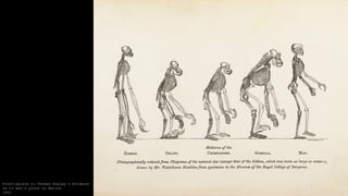 Frontispiece to Thomas Huxley’s Evidence
as to man's place in Nature
1863
 