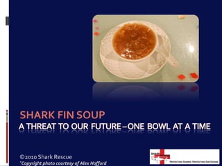 A  threat  to  our  future – one  bowl  at  a  time SHARK FIN SOUP ©2010 Shark Rescue *Copyright photo courtesy of Alex Hofford 