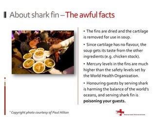   They grow slowly and mature late, some taking from 12-18yrs before being able to reproduce. 