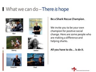 About  Finning* Copyright photo courtesy of AlexHofford