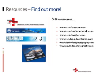   The fins are collected from around the world as the main ingredient for shark fin soup.