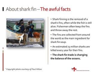  Sharks have 7 senses, including the electrosense. They can feel the faint current coming from a working muscle, like your heart.