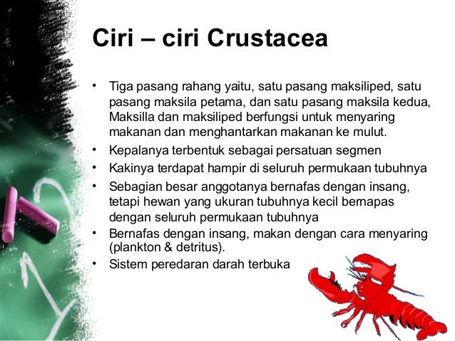 Arthropoda 33667179