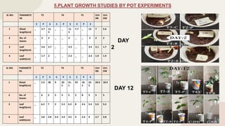 STUDY OF PLANT GROWTH PROMOTING ACTIVITIES OF ENDOPHYTES ISOLATED FROM ...