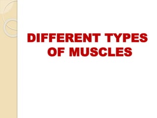 DIFFERENT TYPES
OF MUSCLES
 