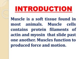 INTRODUCTION
Muscle is a soft tissue found in
most animals. Muscle cells
contains protein filaments of
actin and myosin that slide past
one another. Muscles function to
produced force and motion.
 