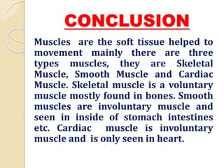 CONCLUSION
Muscles are the soft tissue helped to
movement mainly there are three
types muscles, they are Skeletal
Muscle, Smooth Muscle and Cardiac
Muscle. Skeletal muscle is a voluntary
muscle mostly found in bones. Smooth
muscles are involuntary muscle and
seen in inside of stomach intestines
etc. Cardiac muscle is involuntary
muscle and is only seen in heart.
 