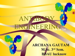 ANTIBODY
ENGINEERING
ARCHANA GAUTAM
M.Sc. 3rd
Sem.
BBAU lucknow
 