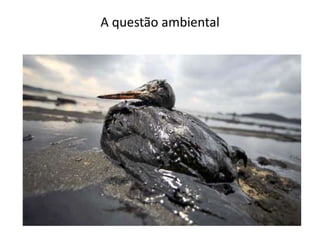 A questão ambiental
 