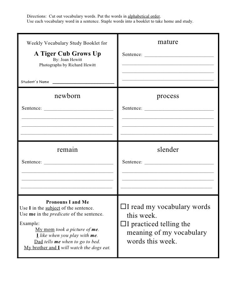 1st grade unit 6 a tiger cub grows up vocab words for 1st graders