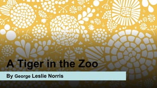 A Tiger in the Zoo
By George Leslie Norris
 