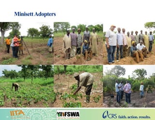 Yam Improvement for Income and Food Security in West Africa (YIIFSWA ...