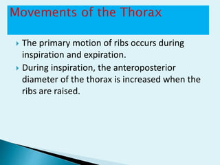 Normal Movement of The Spinal and Thorax | PPTX