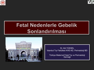 Dr. Atıl YÜKSEL
İstanbul Tıp Fakültesi KHD AD, Perinatoloji BD
Türkiye Maternal Fetal Tıp ve Perinatoloji
Derneği
 