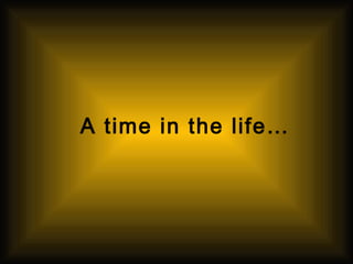 A time in the life…

 