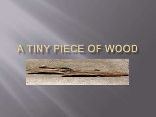 A tiny piece of wood 