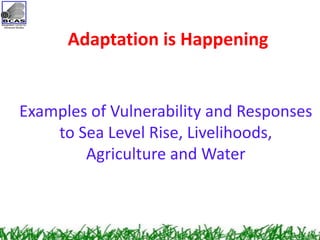 Community Based Adaptation as a Pillar of National Adaptation Efforts | PDF