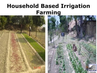 Community Based Adaptation as a Pillar of National Adaptation Efforts | PDF
