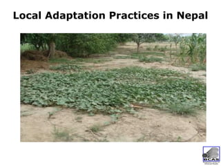 Community Based Adaptation as a Pillar of National Adaptation Efforts | PDF