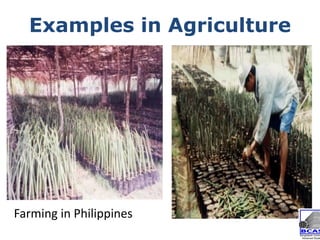 Community Based Adaptation as a Pillar of National Adaptation Efforts | PDF