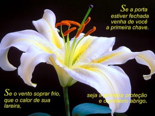 Se a porta
estiver fechada
venha de você
a primeira chave.
seja a primeira proteção
e o primeiro abrigo.
Se o vento soprar frio,
que o calor de sua
lareira,
 