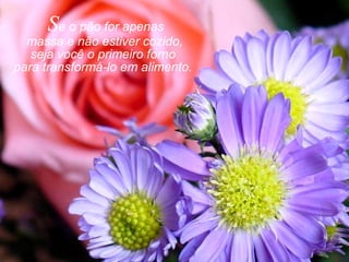 Se o pão for apenas
massa e não estiver cozido,
seja você o primeiro forno
para transformá-lo em alimento.
 