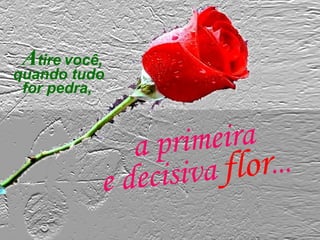 Atire você,
quando tudo
for pedra,
a primeira
e decisiva flor...
 