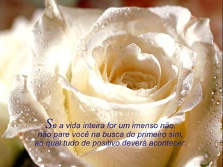 Se a vida inteira for um imenso não,
não pare você na busca do primeiro sim,
ao qual tudo de positivo deverá acontecer.
 
