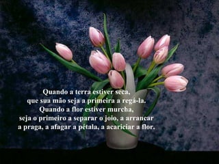 Quando a terra estiver seca,
que sua mão seja a primeira a regá-la.
Quando a flor estiver murcha,
seja o primeiro a separar o joio, a arrancar
a praga, a afagar a pétala, a acariciar a flor.
 