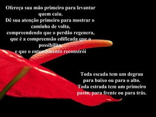 Ofereça sua mão primeiro para levantar
quem caiu.
Dê sua atenção primeiro para mostrar o
caminho de volta,
compreendendo que o perdão regenera,
que é a compreensão edificada que o
possibilita,
e que o entendimento reconstrói
Toda escada tem um degrau
para baixo ou para o alto.
Toda estrada tem um primeiro
passo, para frente ou para trás.
 