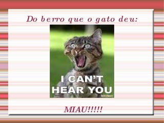 Do berro que o gato deu: MIAU!!!!! 