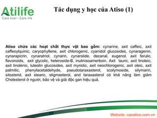 Tác dụng y học của Atiso (1)
Website: caoatiso.com.vn
Atiso chứa các hoạt chất thực vật bao gồm: cynarine, axit caffeic, a...