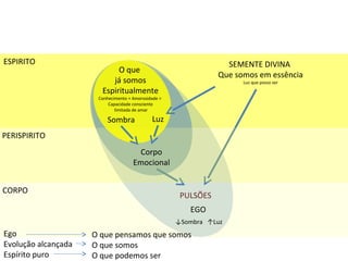 O que
já somos
Espiritualmente
Conhecimento + Amorosidade >
Capacidade consciente
limitada de amar
SEMENTE DIVINA
Que somos em essência
Luz que posso ser
ESPIRITO
CORPO
PULSÕES
PERISPIRITO
Corpo
Emocional
Sombra Luz
EGO
↓Sombra ↑Luz
Ego
Evolução alcançada
Espírito puro
O que pensamos que somos
O que somos
O que podemos ser
 
