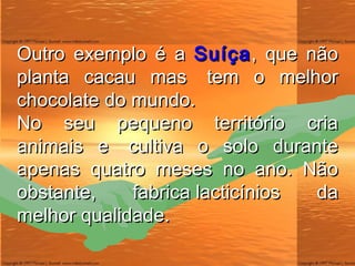 Outro exemplo é a  Suíça , que não planta cacau mas  tem o melhor chocolate do mundo. No seu pequeno território cria animais e  cultiva o solo durante apenas quatro meses no ano. Não obstante, fabrica lacticínios da melhor qualidade.  