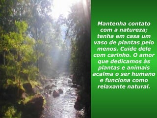 Mantenha contato com a natureza; tenha em casa um vaso de plantas pelo menos. Cuide dele com carinho. O amor que dedicamos às plantas e animais acalma o ser humano e funciona como relaxante natural. 