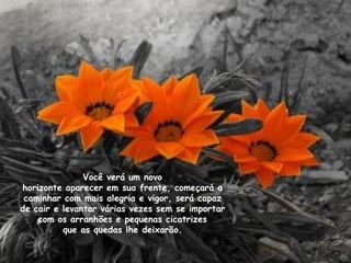 Você verá um novo horizonte aparecer em sua frente, começará a caminhar com mais alegria e vigor, será capaz de cair e levantar várias vezes sem se importar com os arranhões e pequenas cicatrizes que as quedas lhe deixarão. 