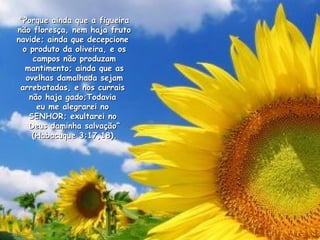 "Porque ainda que a figueira não floresça, nem haja fruto navide; ainda que decepcione  o produto da oliveira, e os campos não produzam mantimento; ainda que as ovelhas damalhada sejam arrebatadas, e nos currais  não haja gado;Todavia  eu me alegrarei no  SENHOR; exultarei no  Deus daminha salvação“ (Habacuque 3:17,18).   