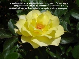 A minha atitude determinará o meu progresso. Ou me leva a conquista desejada ou me incapacita ao sucesso. É o combustível que me leva adiante ou abate a minha esperança.   