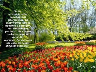Se for necessário saltar muralhas, nos esforçaremos. Se encontrarmos cercas impedindo a passagem, nos arrastaremos por baixo. Se o nosso sonho nos parecer muito alto, voaremos. Só uma coisa não cabe em nossas atitudes: desanimar.   