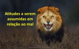 Atitudes a serem
assumidas em
relação ao mal
Pr.Almy Alves
Juniorhttp://almyalves.blogspot.com.br
8
 