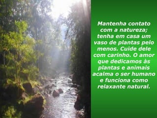 Mantenha contato com a natureza; tenha em casa um vaso de plantas pelo menos. Cuide dele com carinho. O amor que dedicamos às plantas e animais acalma o ser humano e funciona como relaxante natural. 