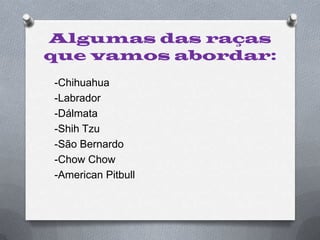 Algumas das raças que vamos abordar:-Chihuahua-Labrador-Dálmata-ShihTzu-São Bernardo-Chow Chow-American Pitbull 