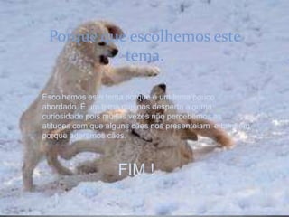 Porque que escolhemos este tema.Escolhemos este tema porque é um tema pouco  abordado. É um tema que nos desperta alguma curiosidade pois muitas vezes não percebemos as atitudes com que alguns cães nos presenteiam  e também porque adoramos cães.                FIM ! 