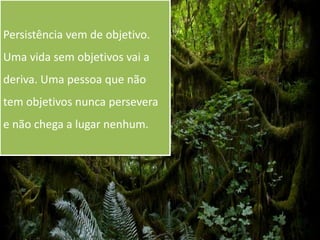 Persistência vem de objetivo. Uma vida sem objetivos vai a deriva. Uma pessoa que não tem objetivos nunca persevera e não chega a lugar nenhum.
